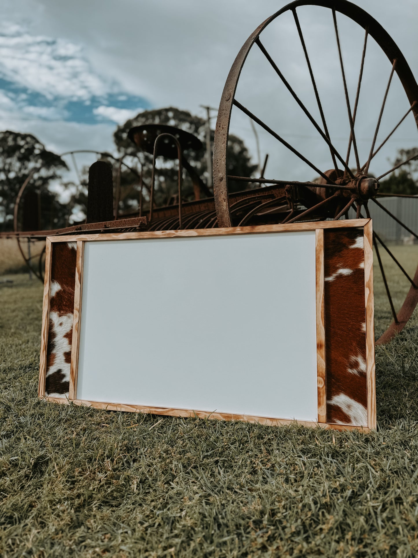 Standard Cowhide Sign