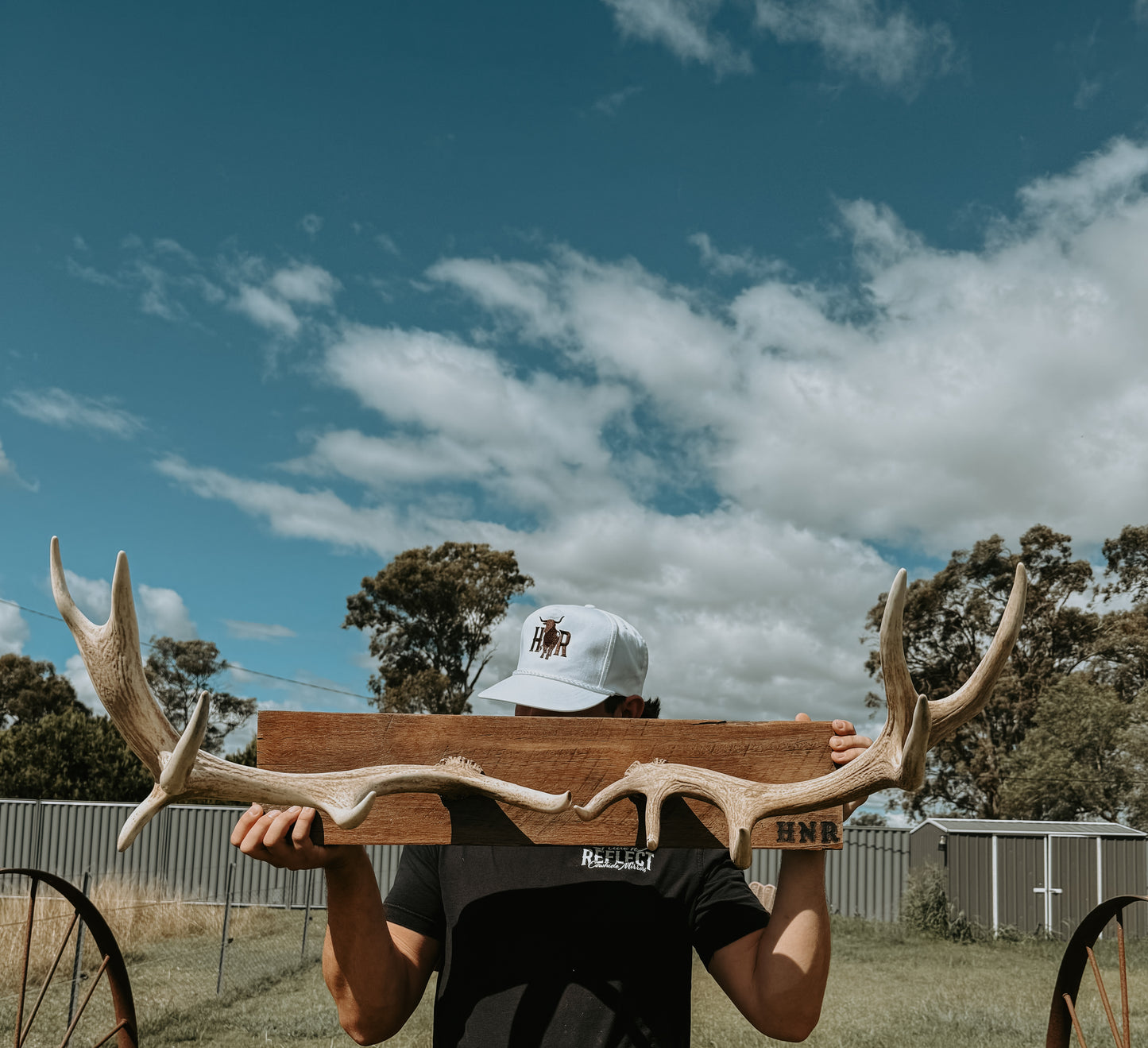 Mounted Deer Antler Wall Decor