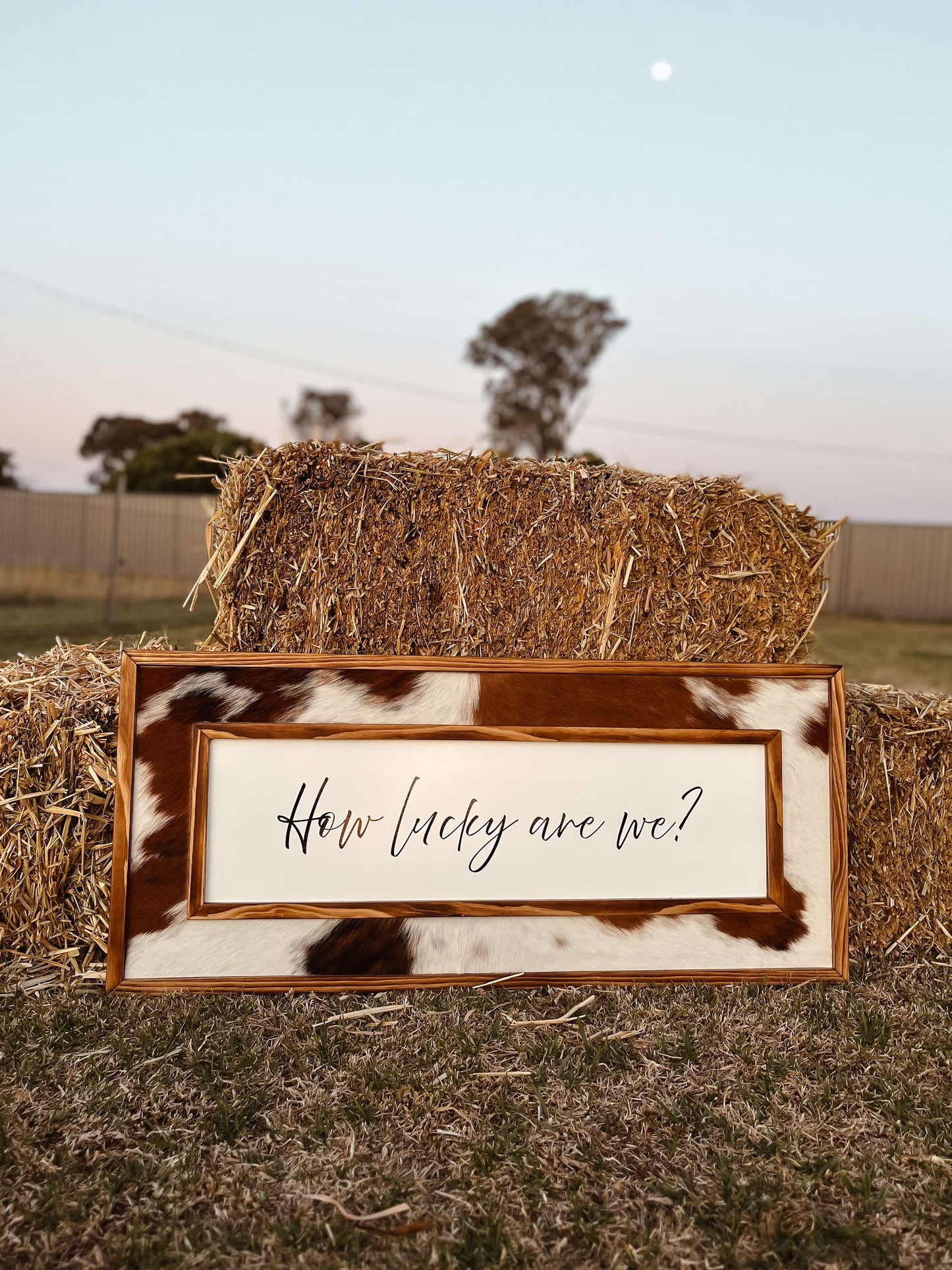 4-sided Cowhide Sign