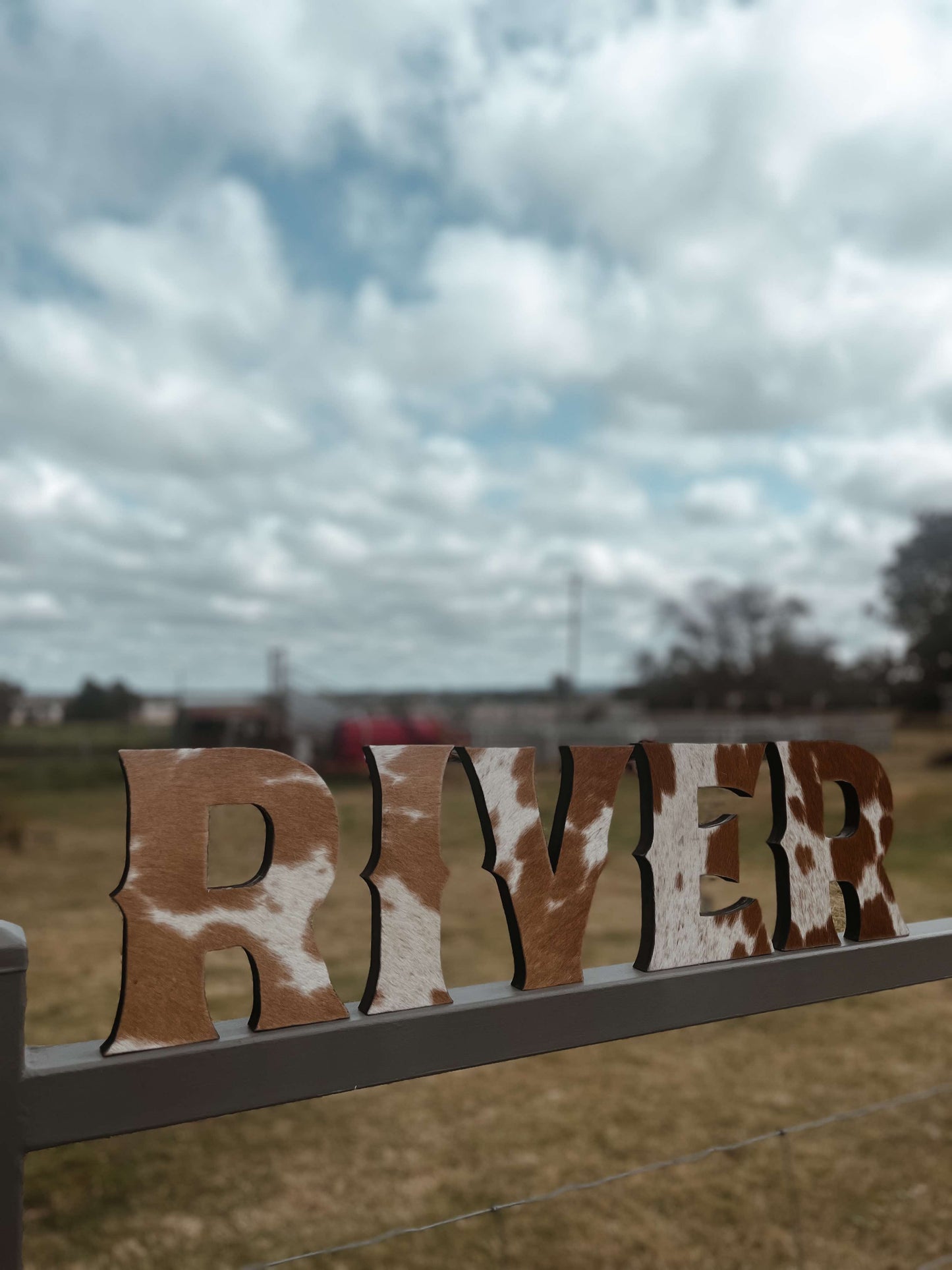 Cowhide Block Letters