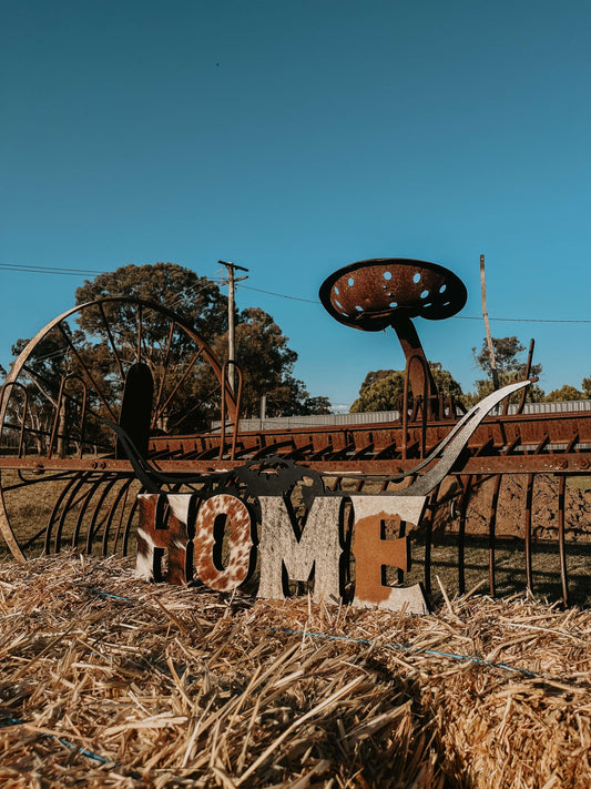 Longhorn Home Cowhide Sign