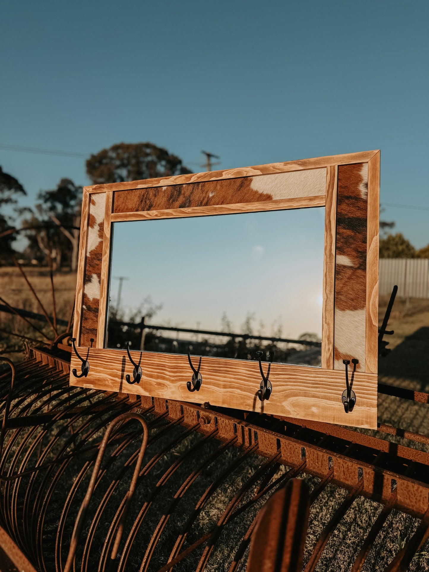 Iconic Hat Rack Mirror