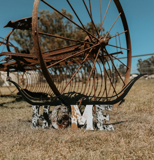 Longhorn Home Cowhide Sign
