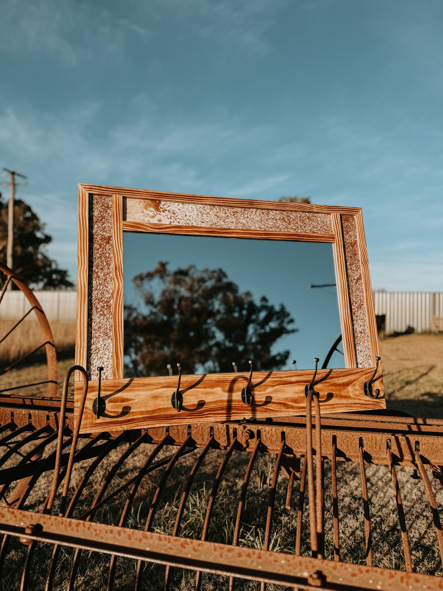 Iconic Hat Rack Mirror