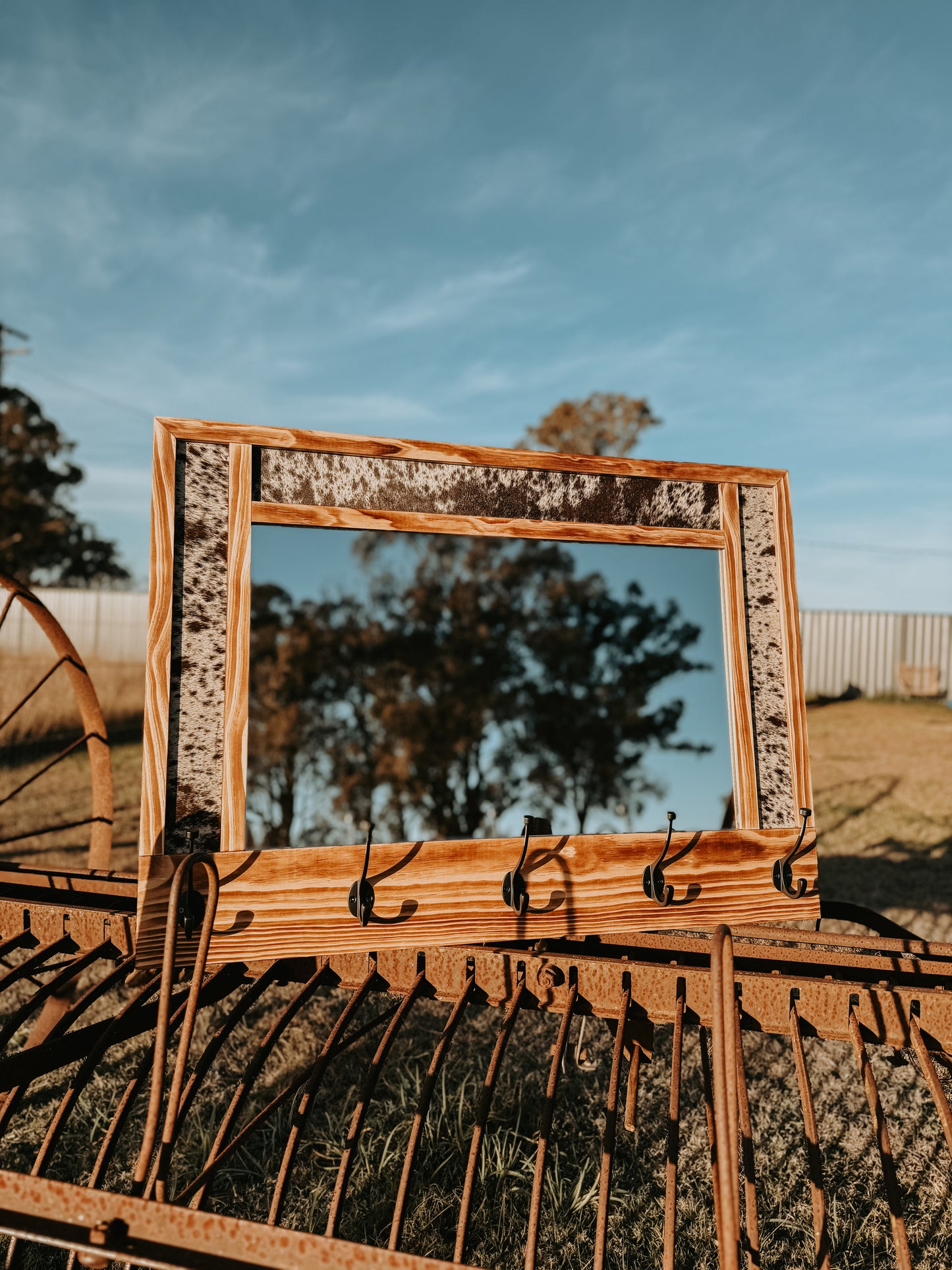 Iconic Hat Rack Mirror