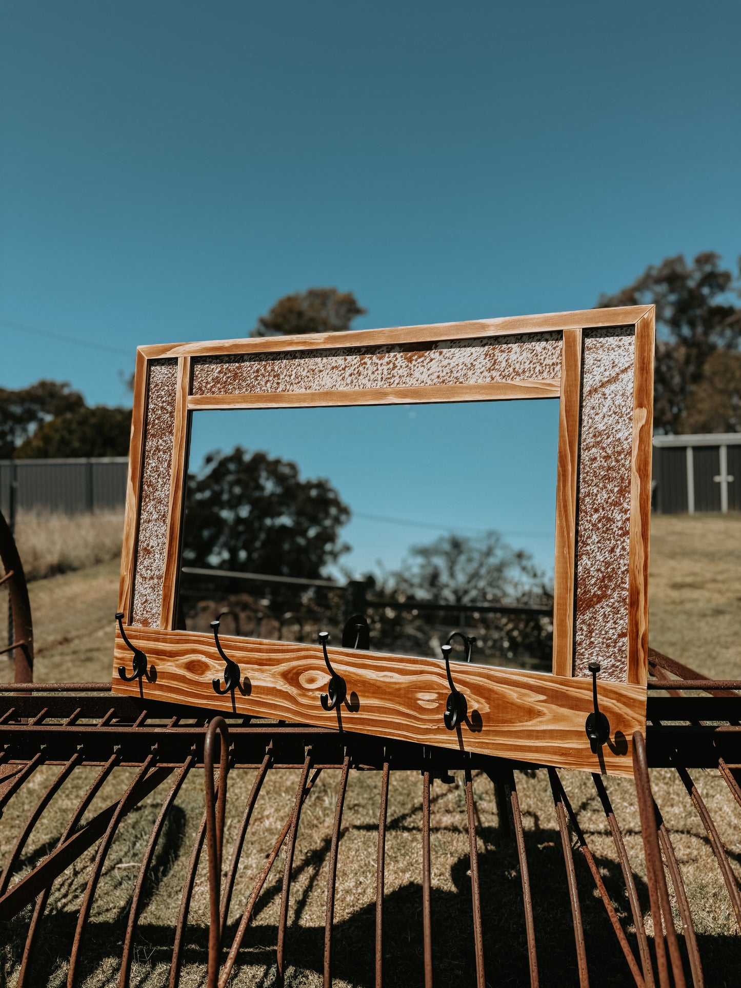 Iconic Hat Rack Mirror